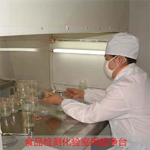 食品实验室用超净台 食品实验室用超净台