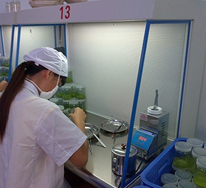 组培接种使用超净台 组培接种使用超净台